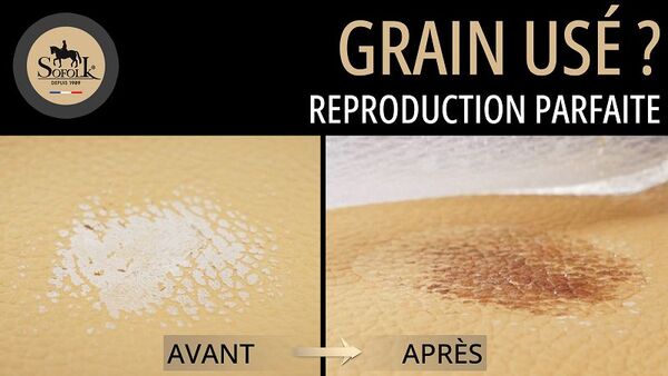 RÉSIGRAIN - RÉSINE DE REPRODUCTION DU GRAIN - Photo 2